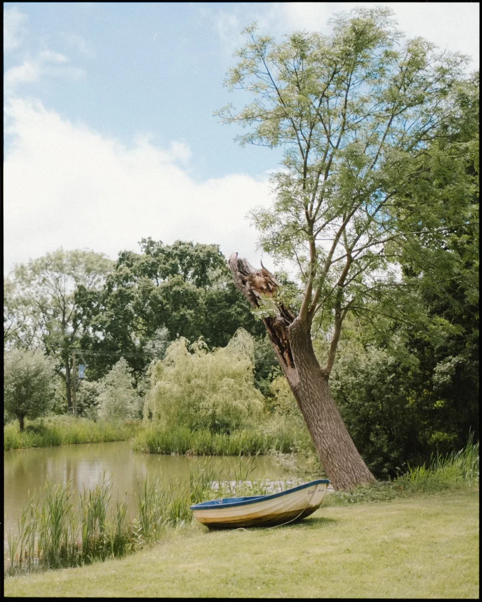 A small rowboat sits on grass near a calm pond, surrounded by trees and tall reeds—a serene spot perfect for a wedding festival or even whimsical yoghurt rooms beneath the partly cloudy sky.