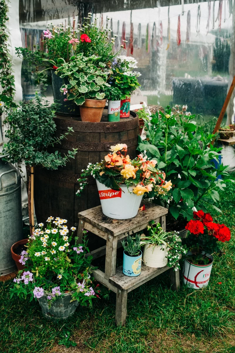 A rustic garden scene, perfect for relaxed festival wedding inspiration, with colorful potted flowers on a wooden step stool, barrel, and ground. Various plants bloom in metal buckets and repurposed containers outdoors on green grass.