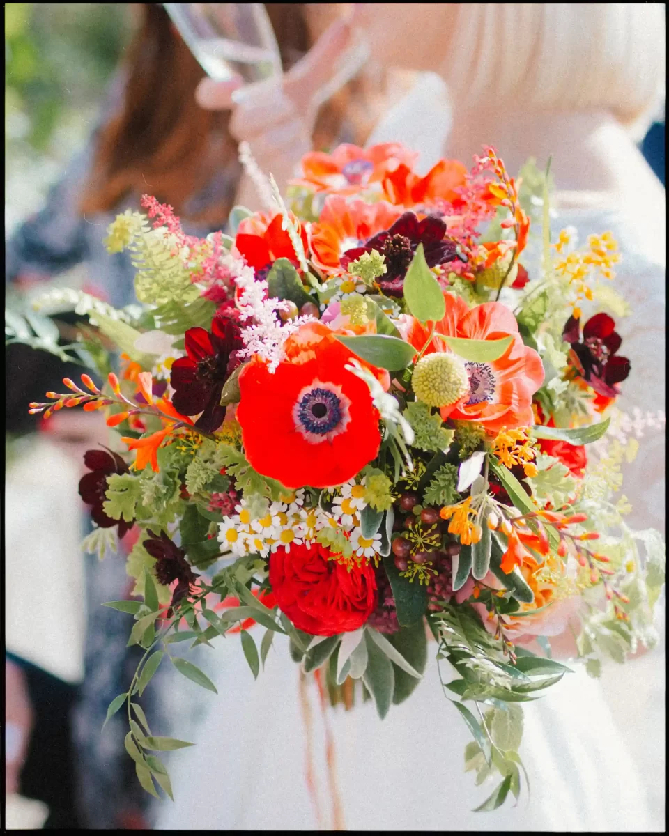 A vibrant bouquet of red poppies, dark maroon flowers, yellow accents, white daisies, and assorted greenery held by a person in a white outfit at an outdoor event.