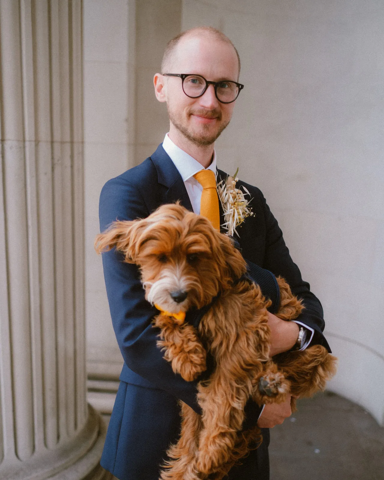 marylebone town hall wedding photographer london - groom holding dog on steps town hall