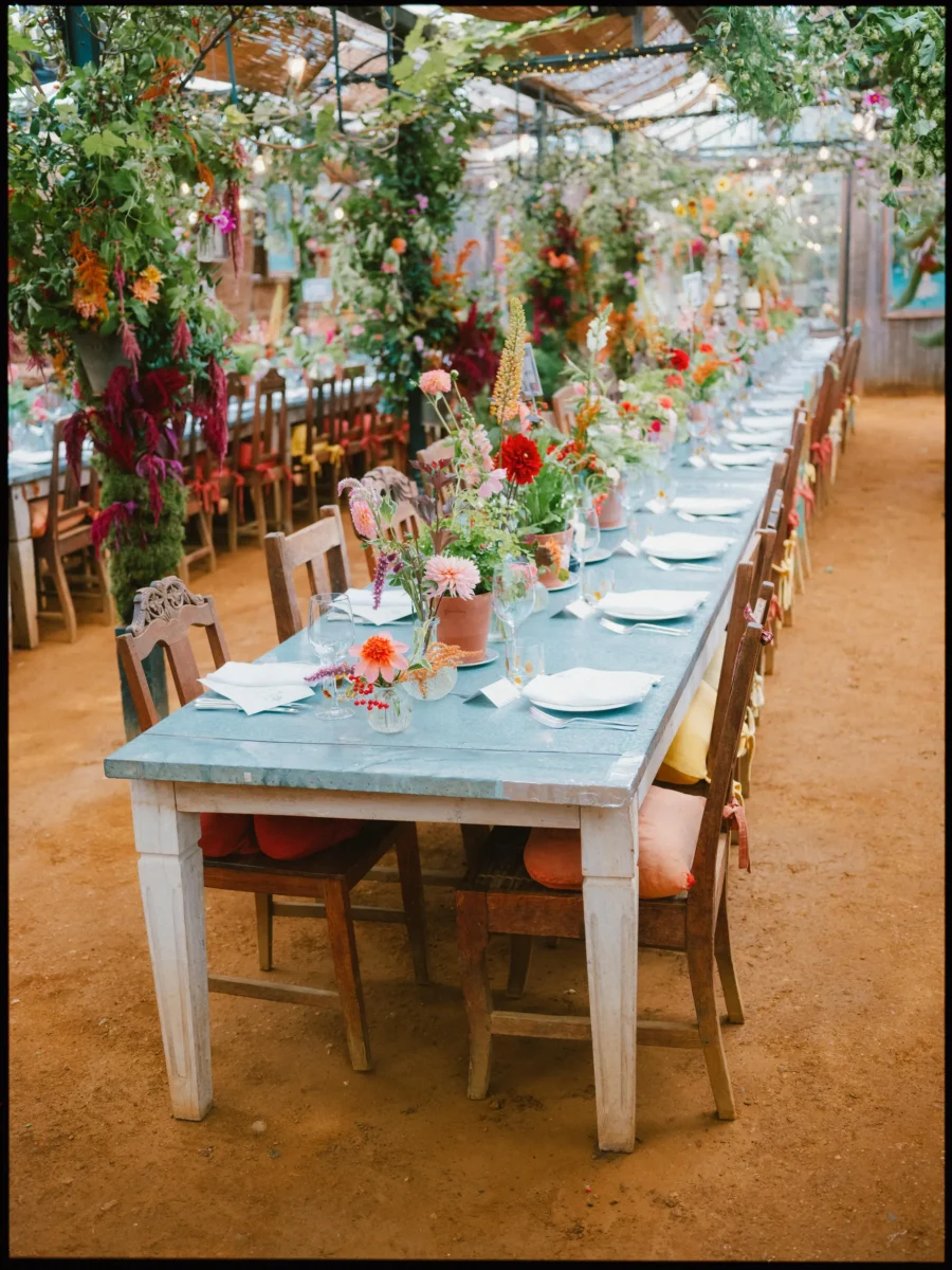 Long zinc-topped table laid with white plates and small flower pots, hung with trailing greenery in the glasshouse