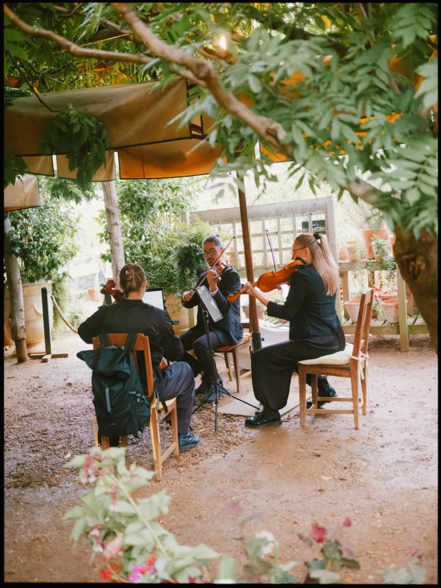 String trio in black plays violins and viola on wooden chairs under a leafy canopy at Petersham Nurseries