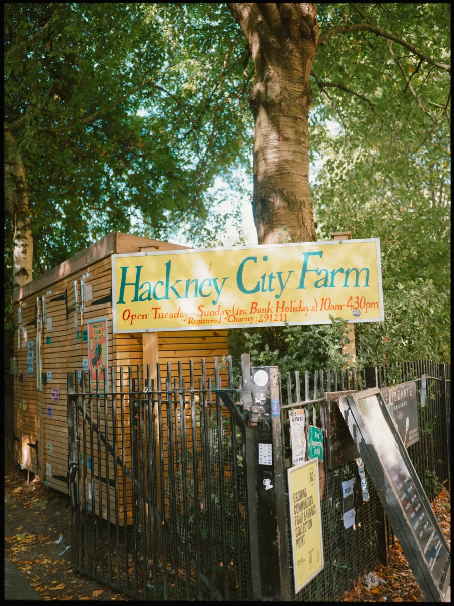 Yellow Hackney City Farm sign above black railings and a timber building, shaded by leafy trees in autumn light